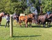 IMG-20240915-WA0062