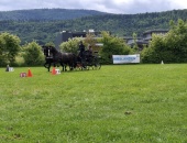 IMG-20250604-WA0002