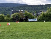 IMG-20250604-WA0005