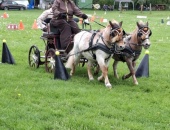 IMG-20250604-WA0011