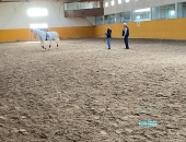IMG-20241110-WA0019