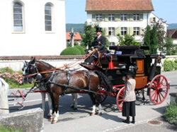 Fahrsportgruppe Birsigtal